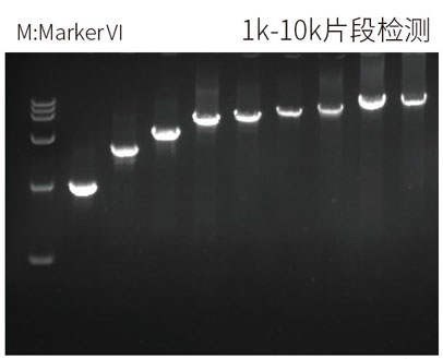 17.12taq plus mix圖2.jpg