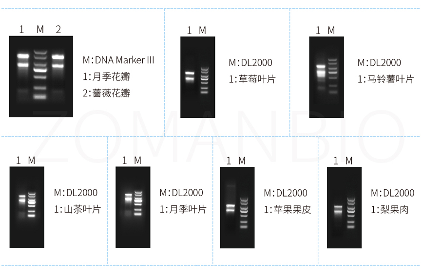 ZP411C 官網(wǎng)用圖.jpg