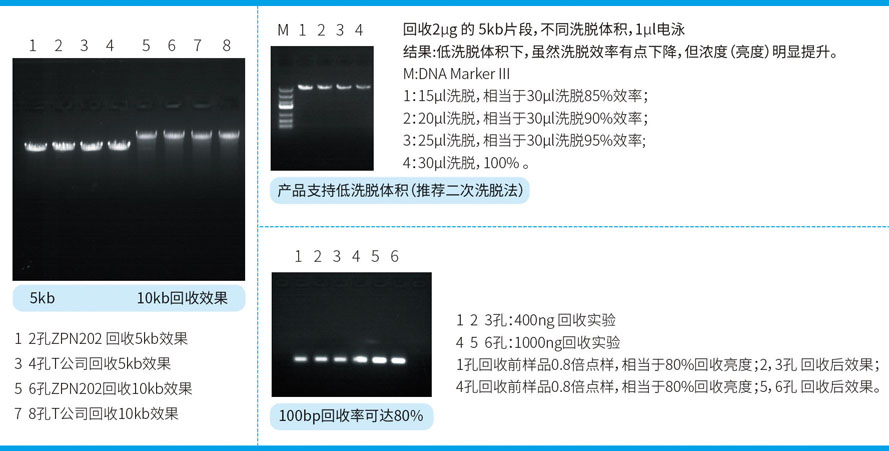 微柱膠回促銷 官網(wǎng).jpg