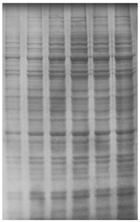 23.7.19 exblue考染圖.JPG 圖片