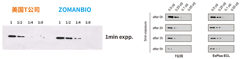 23.7.19 超敏圖.JPG 圖片