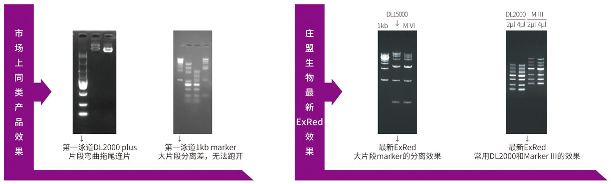 22.5 red對(duì)比圖.jpg
